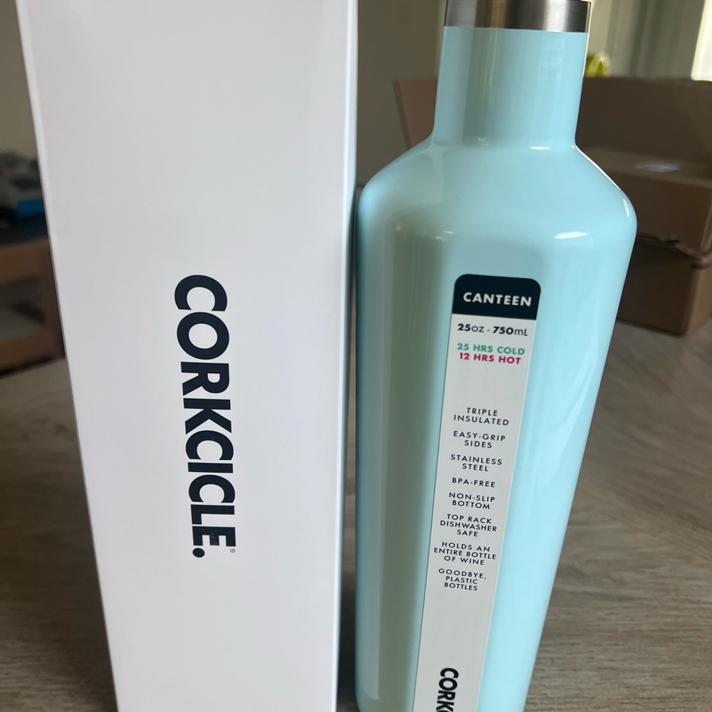 Corkcicle Powder Blue Canteen